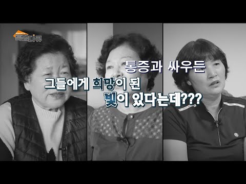MTN 특집다큐